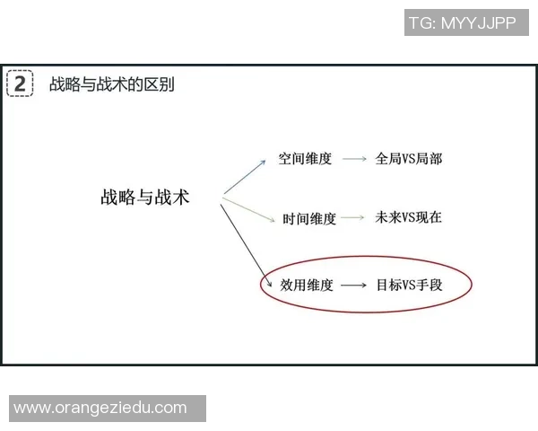 羽毛球深度解析：北京羽毛球队如何实现整体压制与战术优势